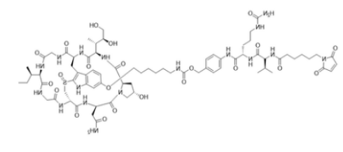 MC-vc-PAB-C6-a-amanitin