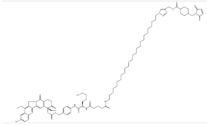 CL2A-SN 38 CL2A-SN 38