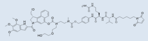MC-vc-PAB-(PEG2)-duocarmycin TM