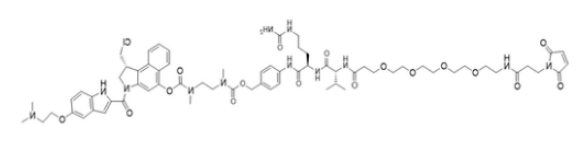 MA-PEG4-vc-PAB-DMEA-duocarmycin DM MA-PEG4-vc-PAB-DMEA-duocarmycin DM