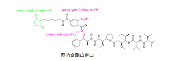 多柔比星牛血清白蛋白纳米粒