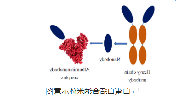奥沙利铂白蛋白纳米粒