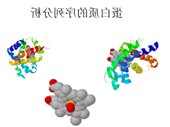 包裹硫鸟嘌呤的白蛋白纳米粒
