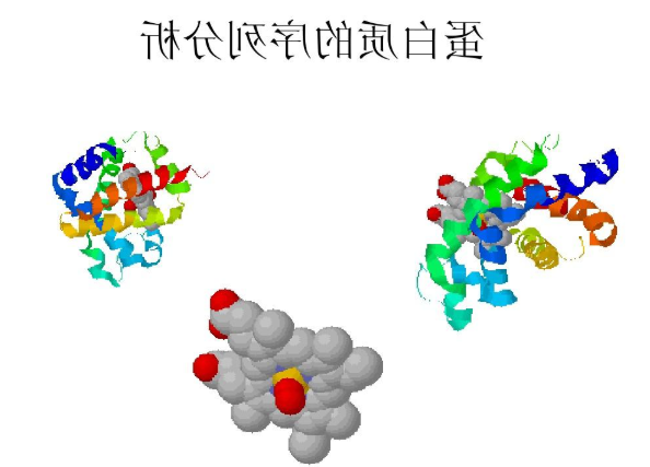 槲皮素-白蛋白纳米粒