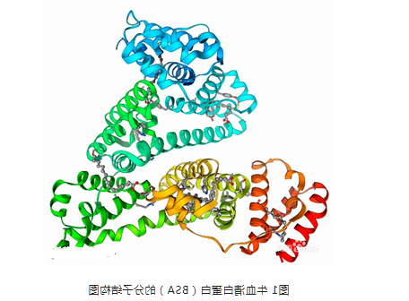叶酸修饰蓓萨罗丁牛血清白蛋白纳米粒 叶酸修饰蓓萨罗丁牛血清白蛋白纳米粒