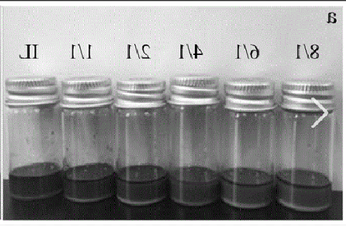 PVDF/[VBIM][Cl]