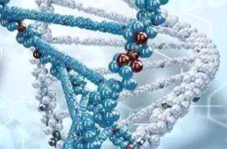 DBCO-PEG-Transferrin DBCO-PEG-Transferrin
