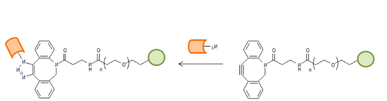 DBCO-PEG-Heparin 