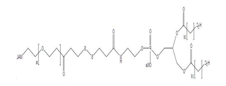 DSPE-SS-PEG2000-MAL