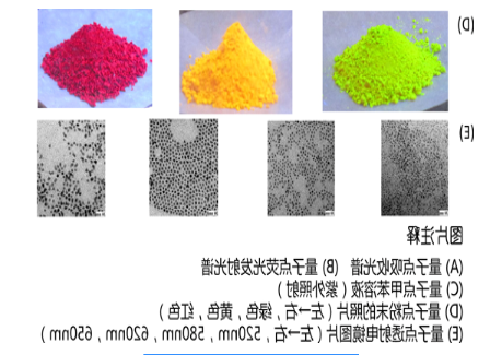 油溶性CdSe量子点 油溶性CdSe量子点