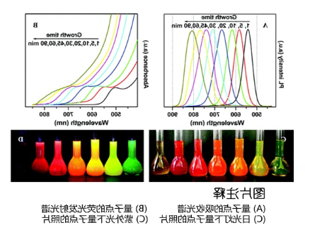 水溶性CdTe/CdS量子点 水溶性CdTe/CdS量子点