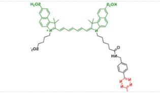 Methyltrazine-Disulfo-ICG