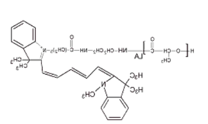 PDLLA-CY5