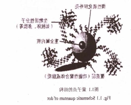 CsPbBr 3量子点溶液