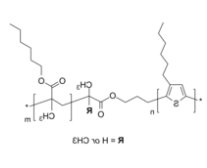 P3HT-PnHexMA P3HT-PnHexMA