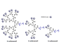 mPEG-Dendro Acid