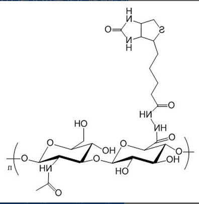 HA-Biotin(mono)