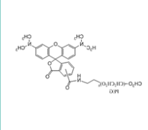 mPEG-Rhodamine