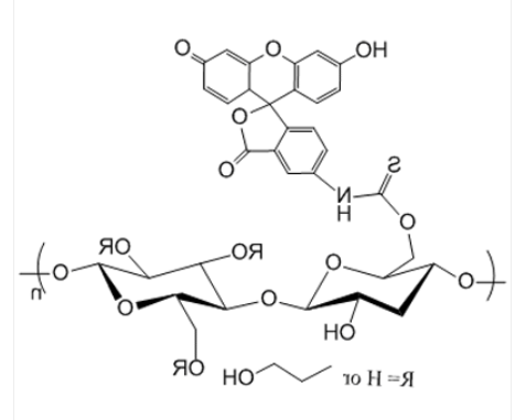 Cellulose-FITC