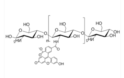 Chitosan-FITC