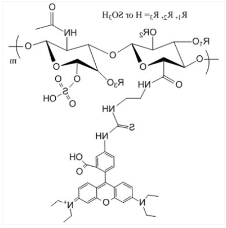 Chondroitin Sulfate Rhodamine