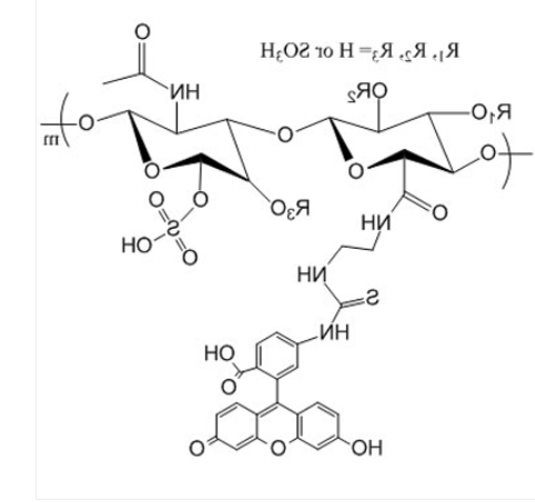 Chondroitin Sulfate FITC