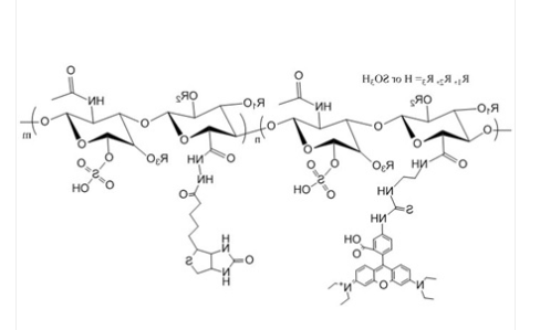 Biotin-Chondroitin Sulfate-FITC