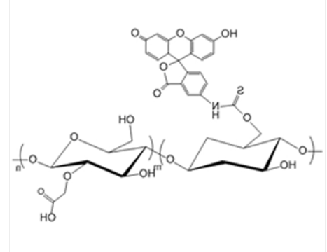 CM-Dextran-FITC