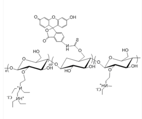DEAE-Dextran-FITC