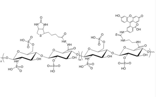 Biotin-Heparin-FITC