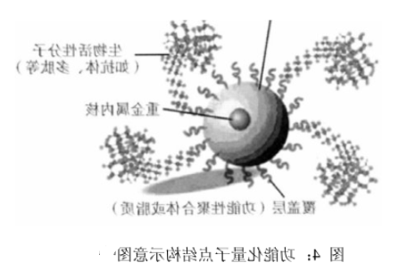 马来酰亚胺MAL功能化PbS量子点