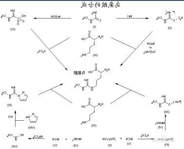 海藻酸钠-聚乙二醇-聚鸟氨酸