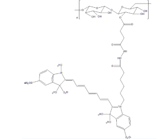 CY7-Dextran CY7-Dextran