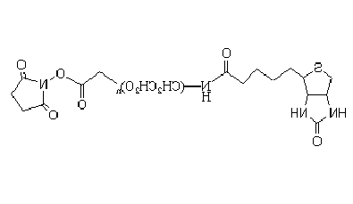 Biotin-PEG-SCM