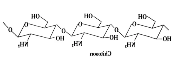 壳聚糖-聚苯硫醚