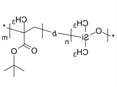 PDMS-PtBuMA