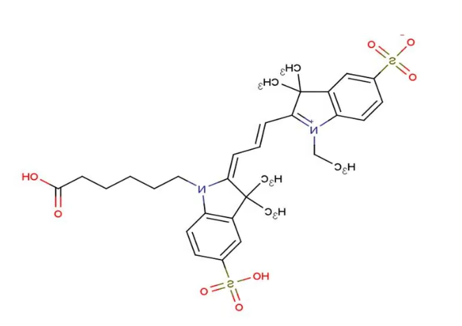 CY3