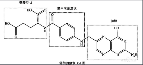 甘露糖-叶酸