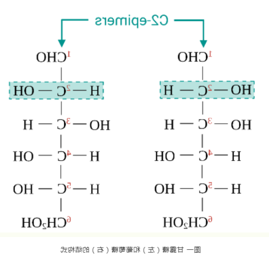 甘露糖偶联香豆素 甘露糖偶联香豆素
