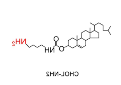 CLS-NH2 CLS-NH2