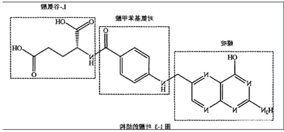 半乳糖-聚乙二醇-叶酸