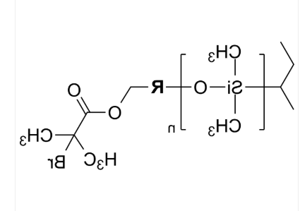PDMS-Br