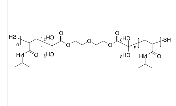 PNIPAM-2SH