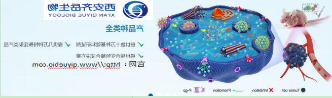 QQ截图20211103141312.png