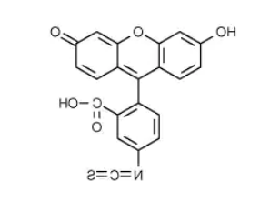 荧光素-5-异硫氰酸酯