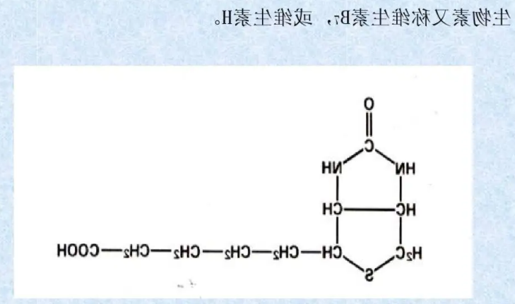 生物素（Biotin）