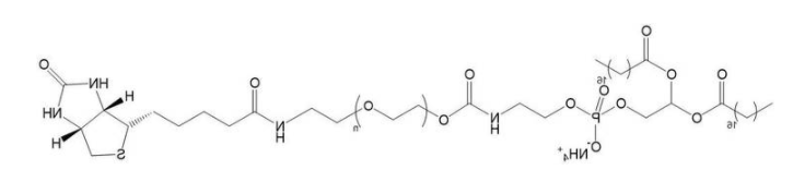 DSPE-PEG2000-Biotin