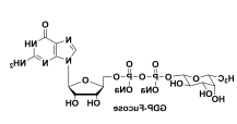 GDP-L-岩藻糖 鸟苷二磷酰岩藻糖 Guanosine 5′-diphospho-β-L-fucose sodium salt GDP-L-岩藻糖 鸟苷二磷酰岩藻糖 Guanosine 5′-diphospho-β-L-fucose sodium salt