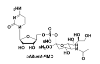 5`-单磷酸腺嘌呤核苷-唾液酸二钠盐 CMP-唾液酸钠盐