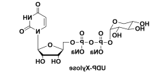 Uridine diphosphoxylose UDP木糖 UDP-D-木糖 尿苷二磷酸木糖 